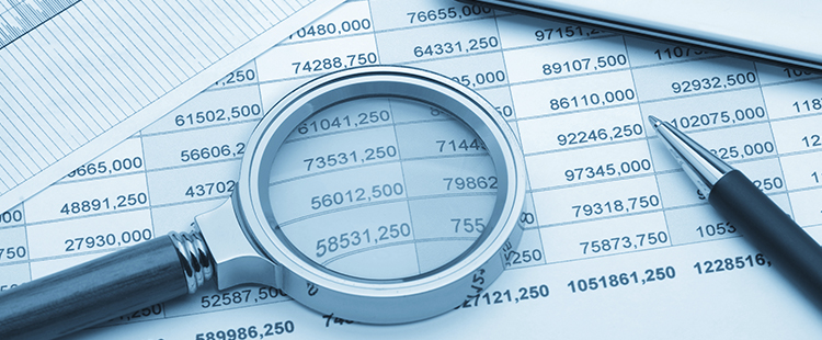 forensic-accounting by MinowCPA